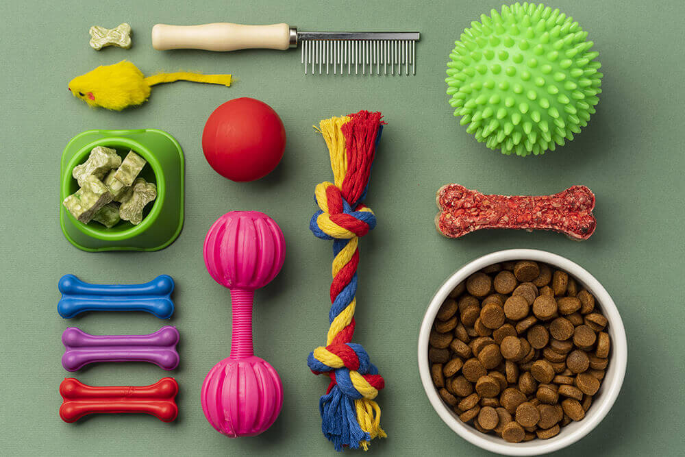 Top 10 Must-Have Accessories for Happy and Healthy Pets